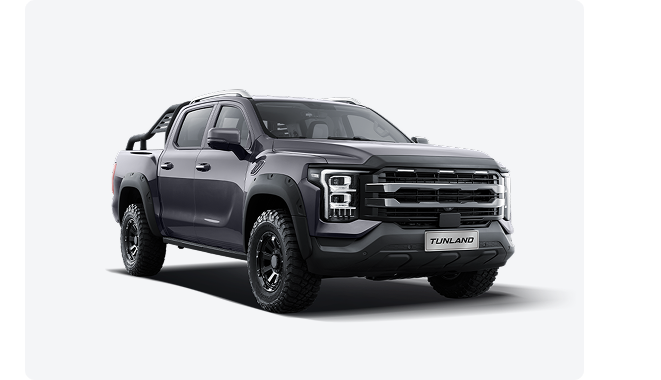 FOTON Tunland